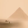 The Collection vol. I - Transcendente Reizen album TERMIJNEN